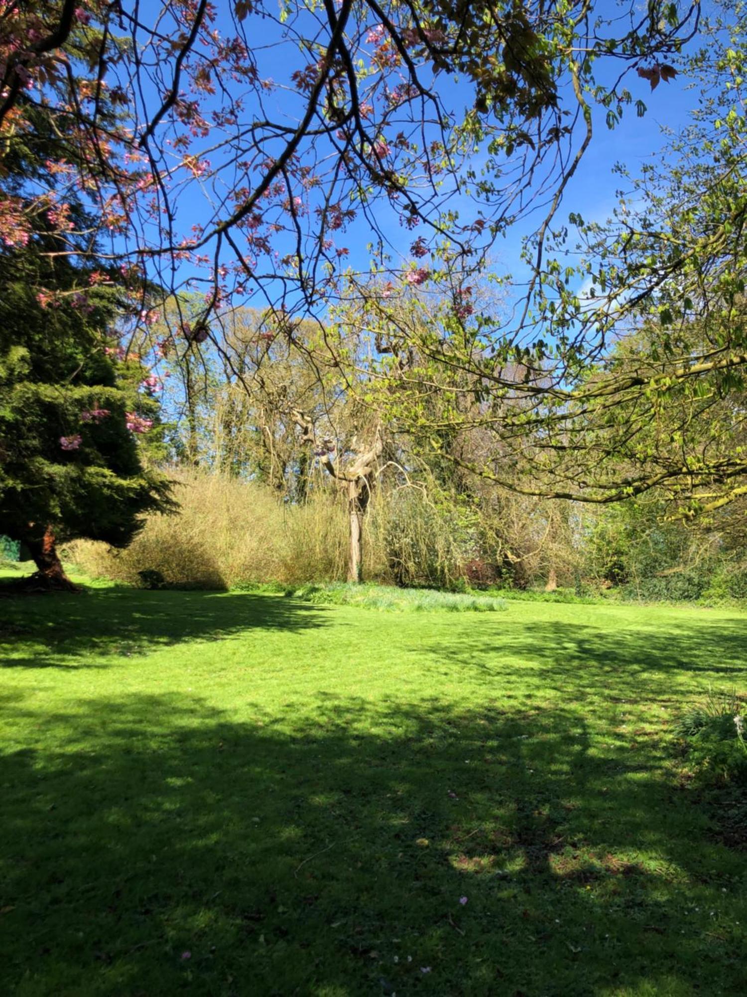 Springwood - Royal Hillsborough Villa Luaran gambar